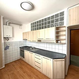 Prodej bytu 3+1 72 m² Plzeň Lobzy, Pod Švabinami