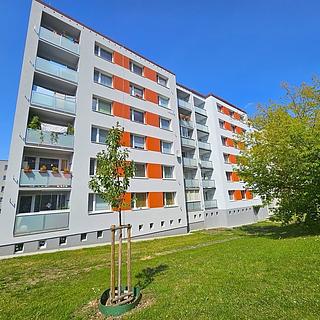 Pronájem bytu 1+1 40 m² Holýšov