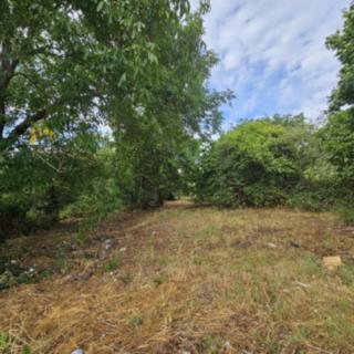 Prodej zahrady 604 m² Plzeň Skvrňany, U Domažlické trati