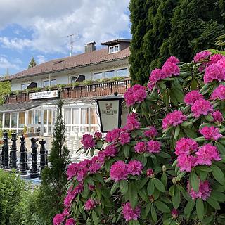 Prodej hotelu a penzionu 2 500 m² Železná Ruda Alžbětín