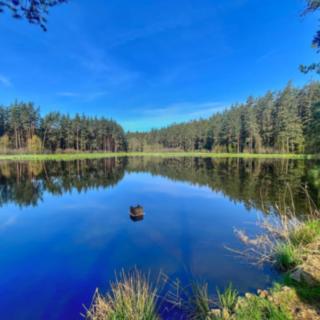 Prodej vodní plochy 16545 m² Trstěnice