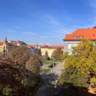 Pronájem bytu 4+1 120 m² Plzeň