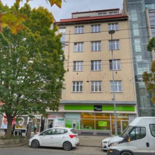 Pronájem bytu 4+1 135 m² Plzeň Východní Předměstí