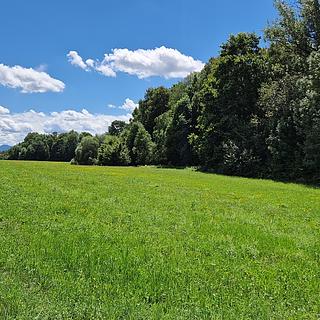 Prodej zemědělské půdy 5 672 m² Sedliště