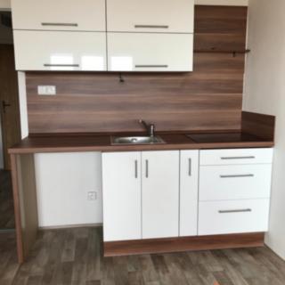 Pronájem bytu 1+kk a garsoniéry 28 m² Ostrava Moravská, Gen. Píky
