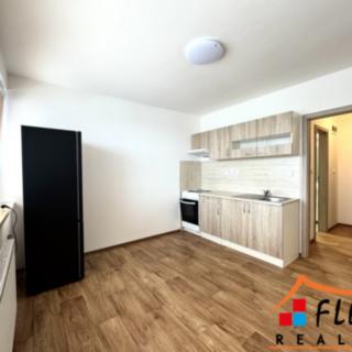 Pronájem bytu 1+1 48 m² Ostrava