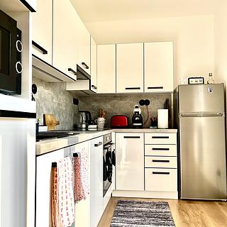 Pronájem bytu 1+1 40 m² Ostrava