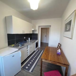 Pronájem bytu 1+1 43 m² Ostrava Zábřeh, Dolní