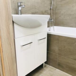 Pronájem bytu 1+1 41 m² Ostrava, Horní