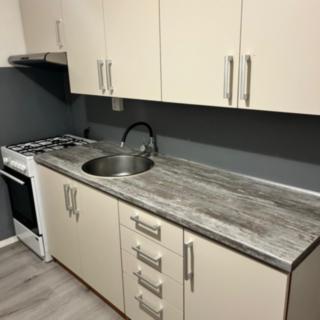 Pronájem bytu 2+1 50 m² Ostrava Hrabůvka, Mitušova