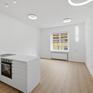 Pronájem bytu 2+kk 50 m² Praha Holešovice, V háji