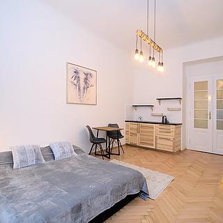 Pronájem bytu 1+kk, garsoniery 28 m² Praha
