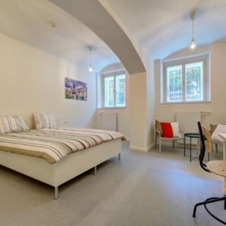 Pronájem pokoje 23 m² Praha