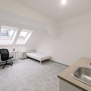 Pronájem pokoje 18 m² Praha Libeň, Na žertvách