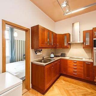Pronájem bytu 2+kk 54 m² Praha Smíchov, V lesíčku