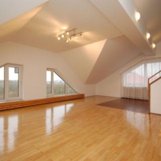 Pronájem bytu 5+1 a více 293 m² Praha Braník, Psohlavců