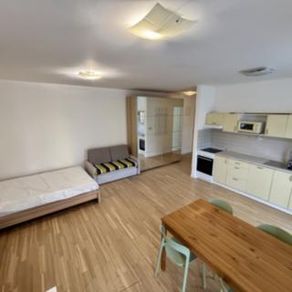 Pronájem bytu 1+kk a garsoniéry 38 m² Praha Žižkov, Bořivojova