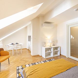 Pronájem bytu 1+kk a garsoniéry 31 m² Praha Staré Město, Kozí