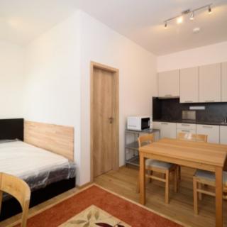 Pronájem bytu 1+kk a garsoniéry 28 m² Praha Karlín, Křižíkova