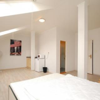 Pronájem bytu 1+kk a garsoniéry 35 m² Praha Žižkov, Cimburkova