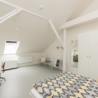 Pronájem pokoje 23 m² Praha