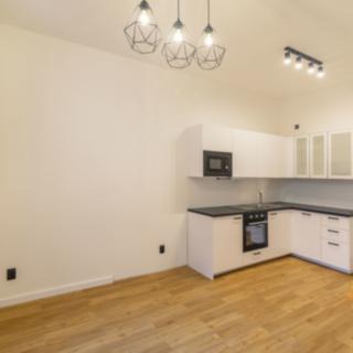 Pronájem bytu 1+kk a garsoniéry 21 m² Praha Košíře, Erbenova