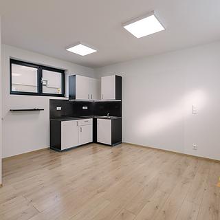 Pronájem bytu 3+kk 55 m² Praha