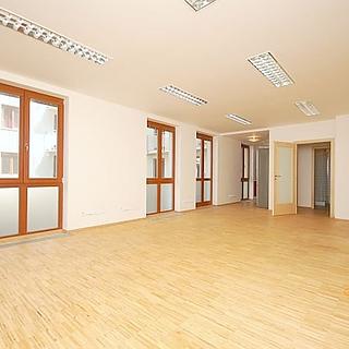 Pronájem bytu 1+kk a garsoniéry 50 m² Praha Žižkov, Husitská
