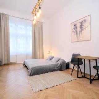 Pronájem bytu 1+kk, garsoniery 28 m² Praha