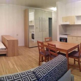 Pronájem bytu 1+kk a garsoniéry 38 m² Praha Žižkov, Bořivojova