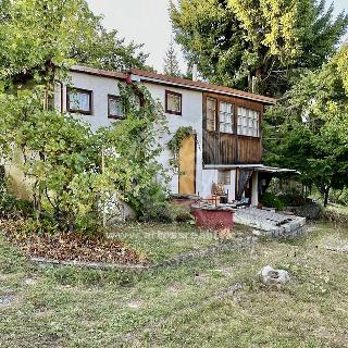 Prodej chaty 39 m² Želešice