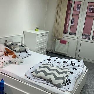 Pronájem pokoje 22 m² Brno Královo Pole, Palackého třída