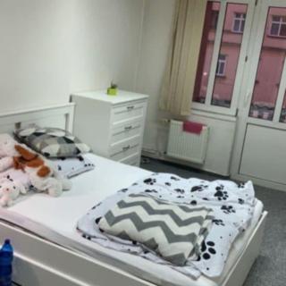 Pronájem pokoje 22 m² Brno