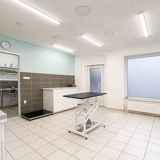 Pronájem ostatní nemovitosti 57 m² Mnichovo Hradiště, Masarykovo náměstí