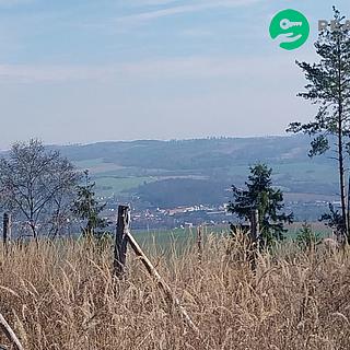 Prodej lesa 2 643 m² Spešov