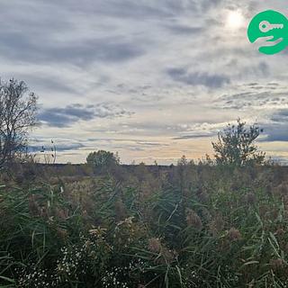 Prodej zemědělské půdy 2 371 m² Dubňany