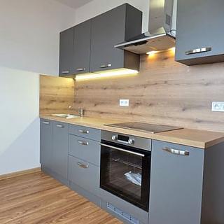 Pronájem bytu 3+1 60 m² Planá, Fučíkova