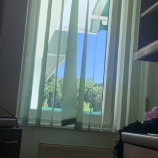 Pronájem bytu 5+1 a více 60 m² České Budějovice