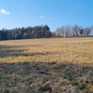 Prodej zemědělské půdy 642424 m² Halže