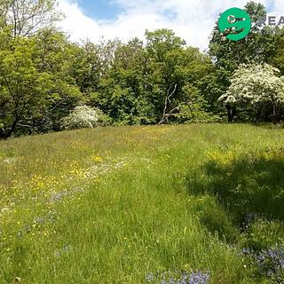 Prodej zahrady 679 m&sup2; Krňany