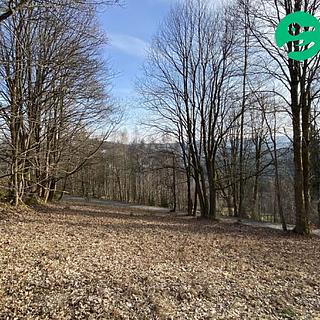 Prodej stavební parcely 1024 m&sup2; Albrechtice v Jizerských horách