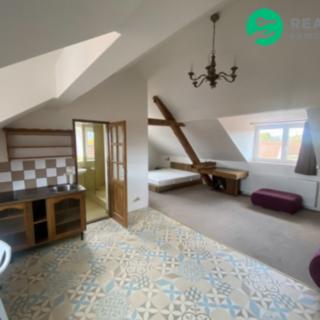 Prodej bytu 1+kk a garsoniéry 52 m² Černiv, Černiv 