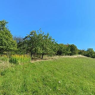 Prodej zahrady 4 839 m² Koryčany Blišice
