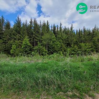 Prodej lesa 72 939 m² Počátky