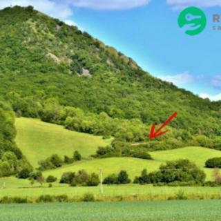 Prodej zahrady 1 600 m² Velemín Oparno