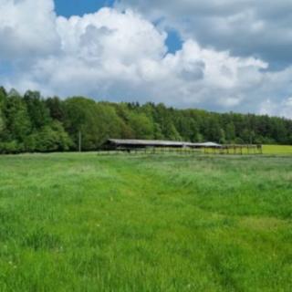 Prodej zemědělské půdy 645446 m² Hošťka