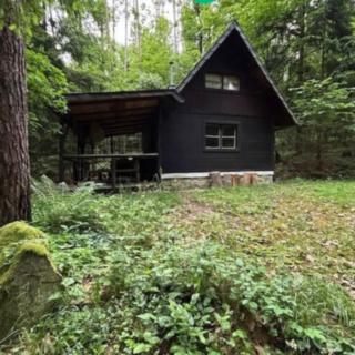 Prodej chaty 44 m² Krňany, Teletín