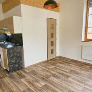 Pronájem bytu 1+kk a garsoniéry 24 m² Tachov, Rokycanova