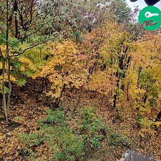 Pronájem bytu 2+kk 40 m&sup2; Praha