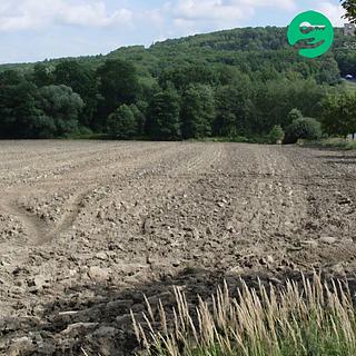 Prodej zemědělské půdy 4 114 m² Mokré Lazce